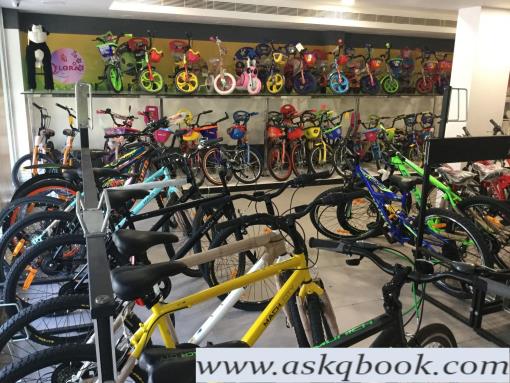 cycle shops in adyar